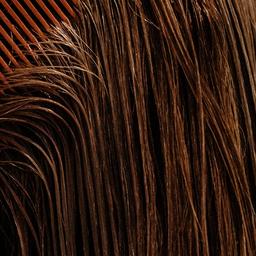 Shampoo and Style Package  